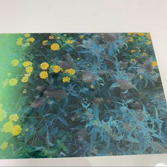 Lovely Star Original Photography Print - Picture 2 of 9